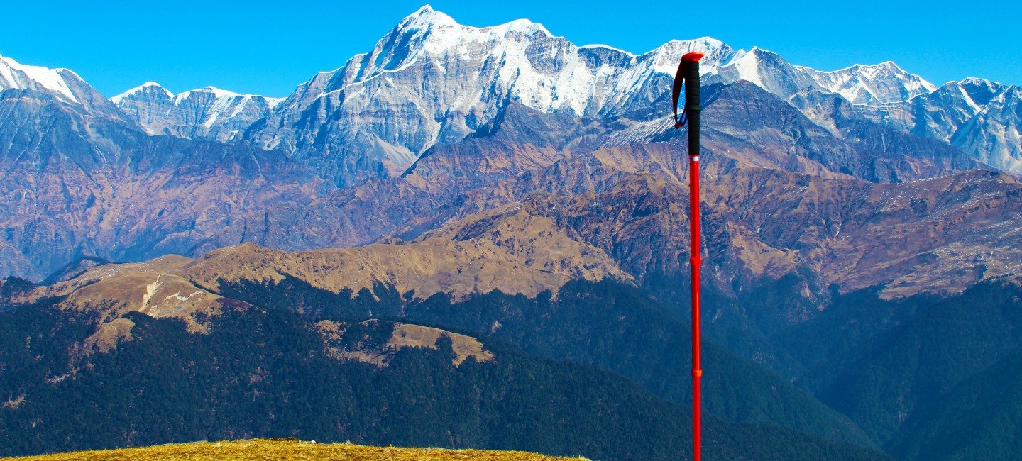 Himalayan Tiger Adventure